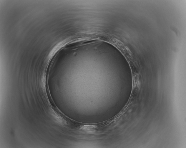 X0000114020051200910091422