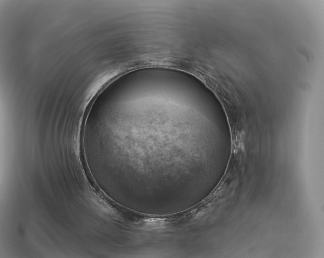 X0000114020052200910091422