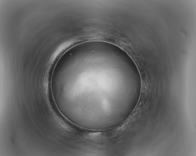 X0000114020054200910091422