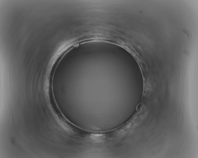 X0000114020055200910091422