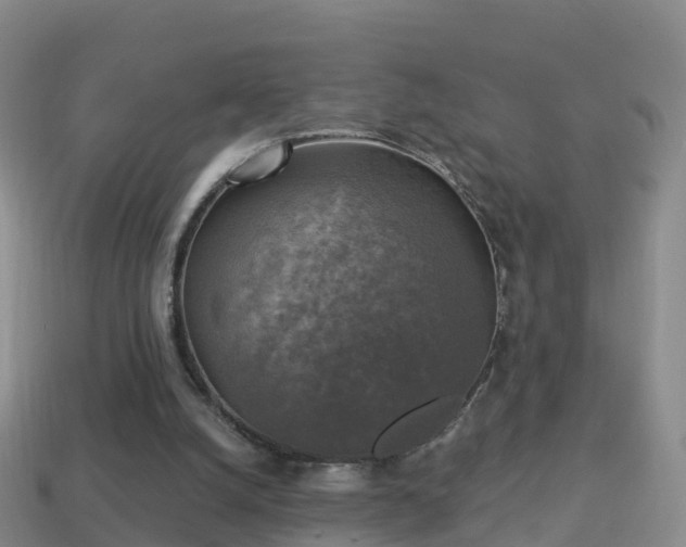 X0000114020056200910091422