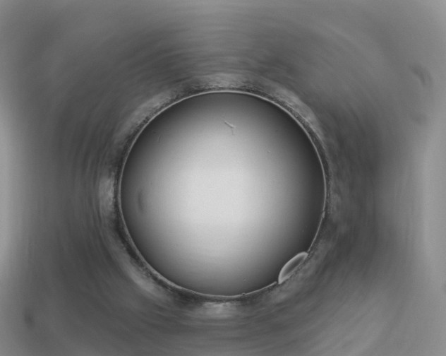 X0000114020057200910091422