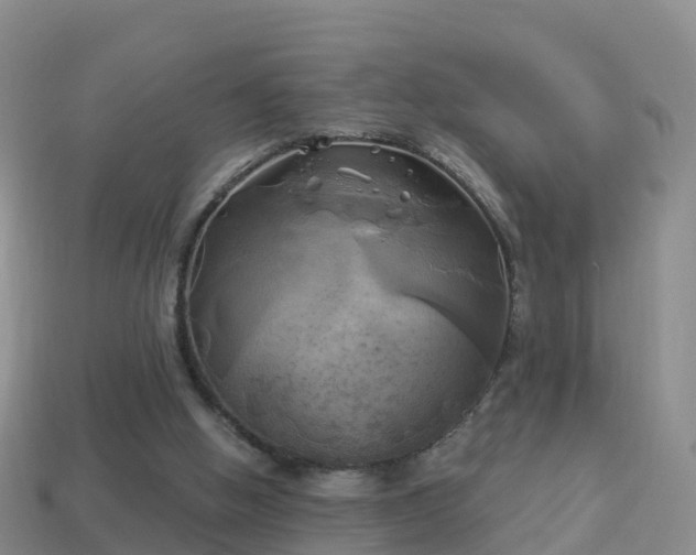 X0000114020058200910091422