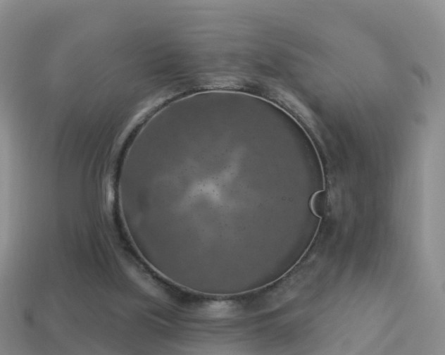 X0000114020059200910091422