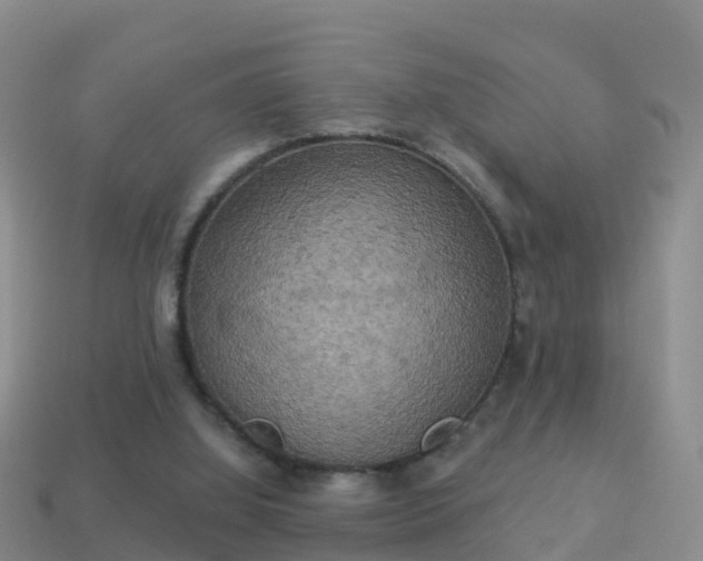 X0000114020060200910091422