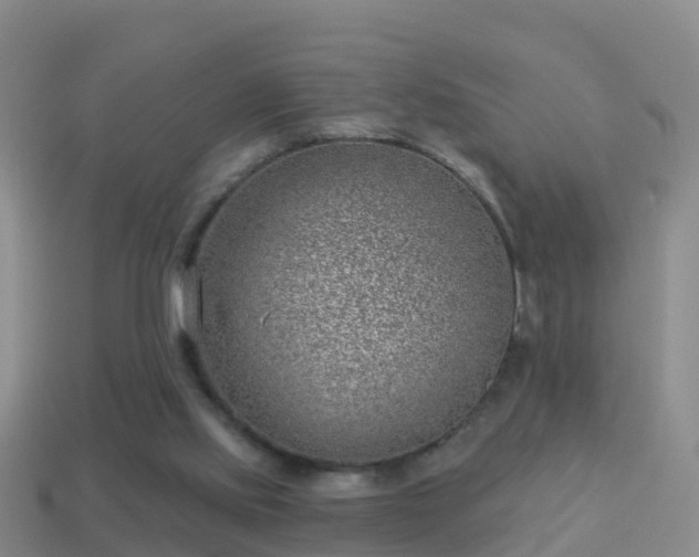 X0000114020061200910091422