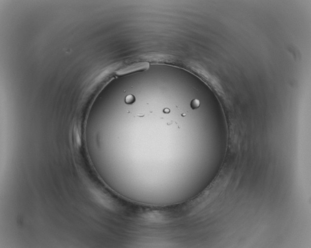 X0000114020062200910091422