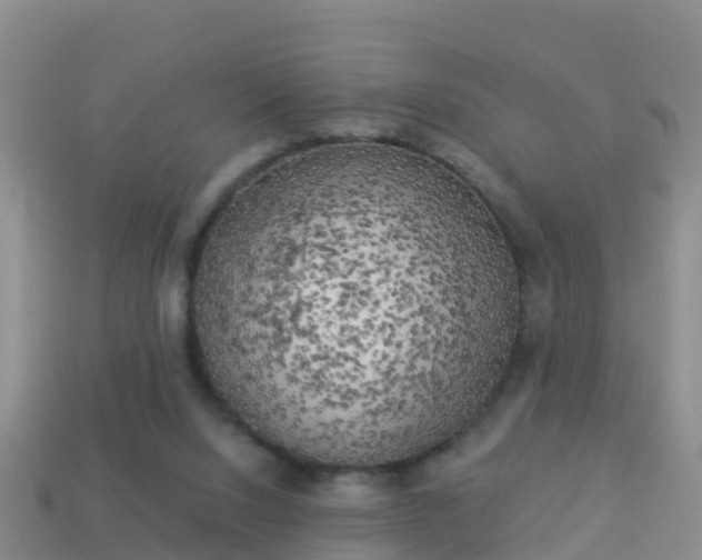 X0000114020064200910091422