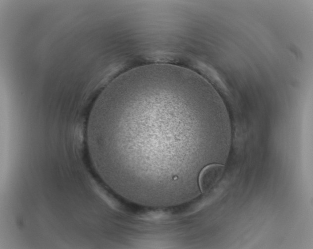 X0000114020065200910091422