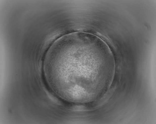 X0000114020066200910091422