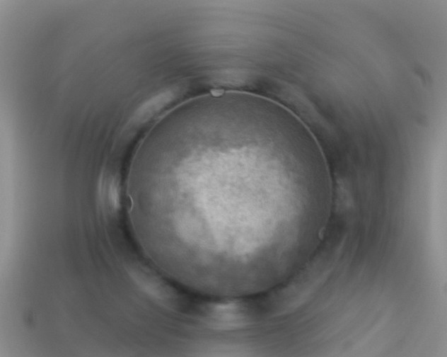 X0000114020068200910091422