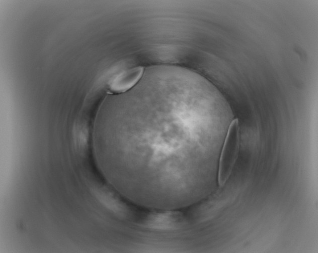 X0000114020072200910091422