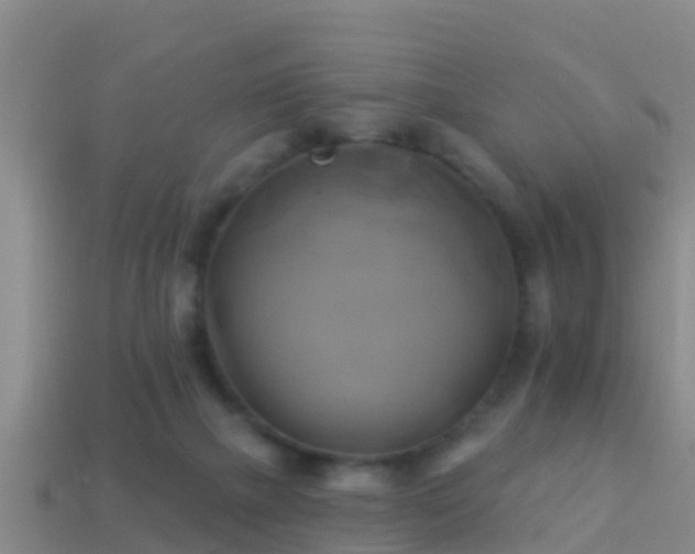 X0000114020073200910091422