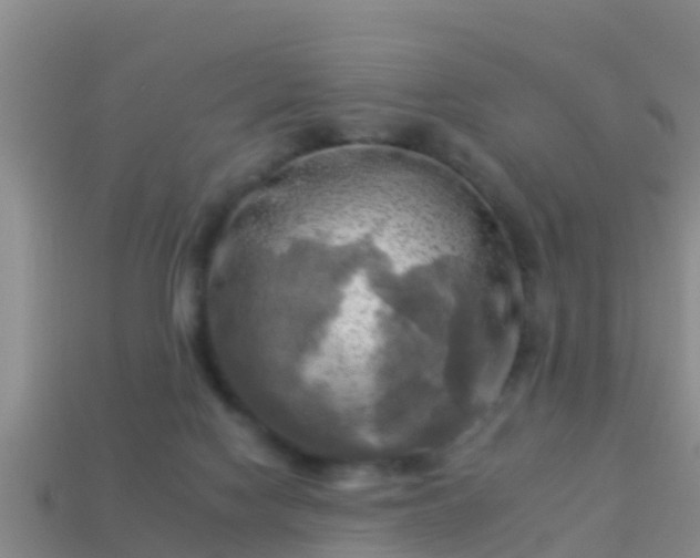 X0000114020074200910091422