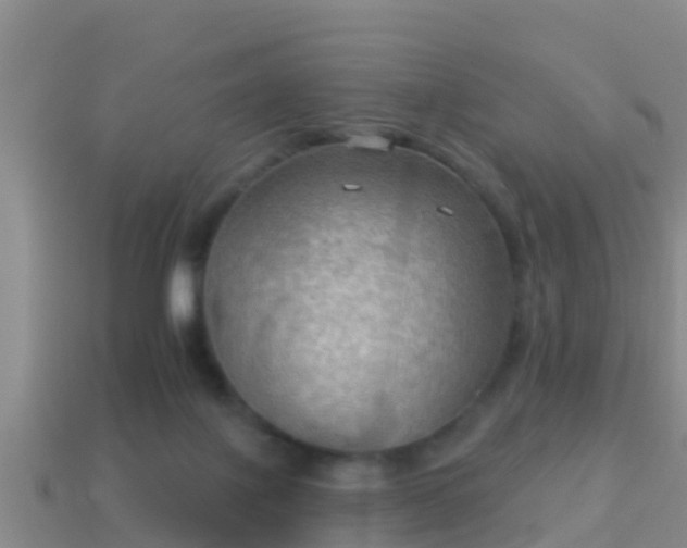 X0000114020075200910091422