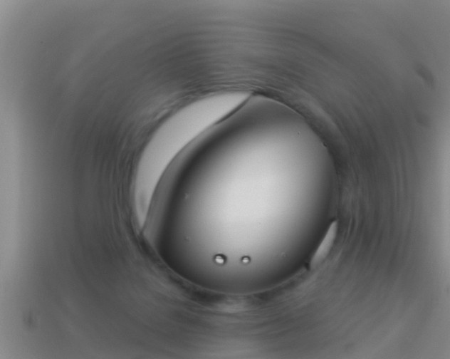 X0000114020076200910091422