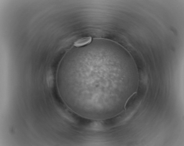 X0000114020080200910091422