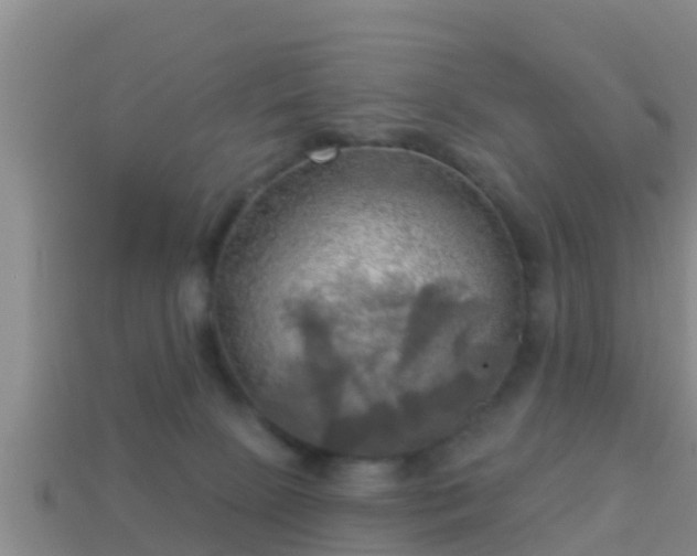 X0000114020081200910091422