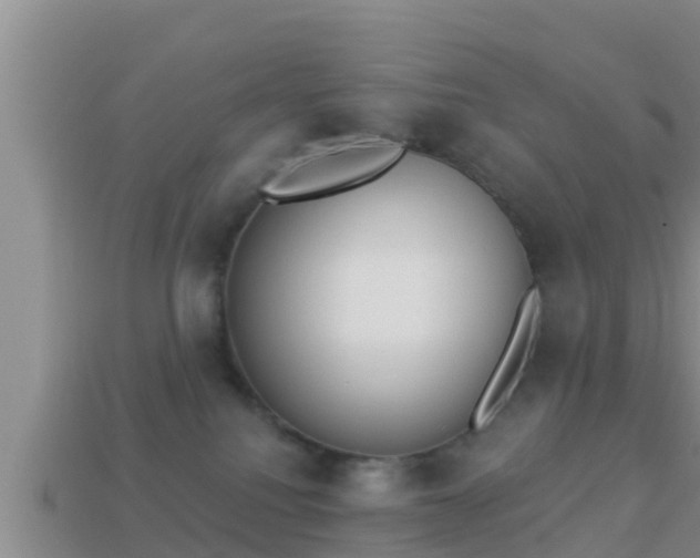 X0000114020088200910091422