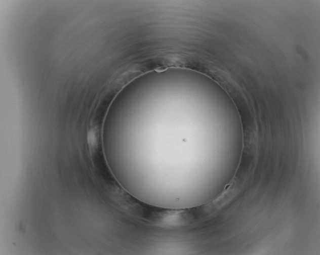 X0000114020090200910091422