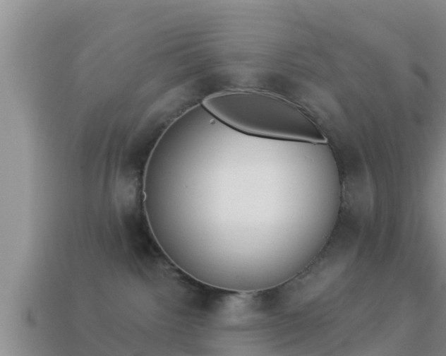 X0000114020092200910091423