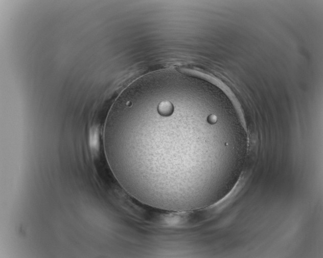 X0000114020094200910091423