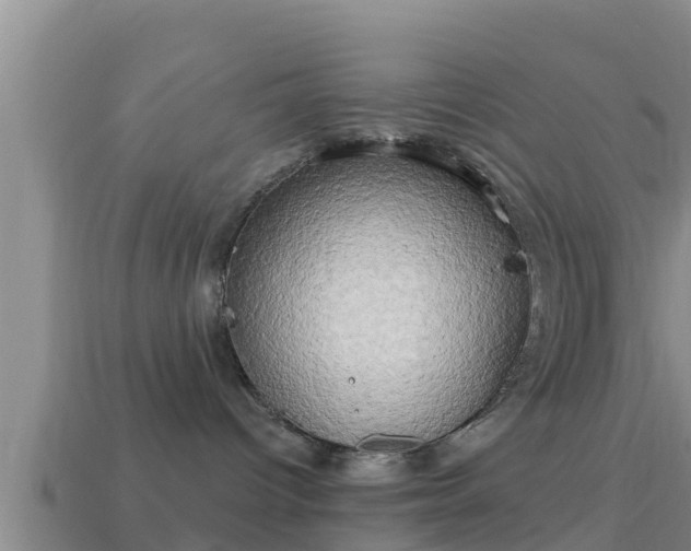 X0000114020096200910091423