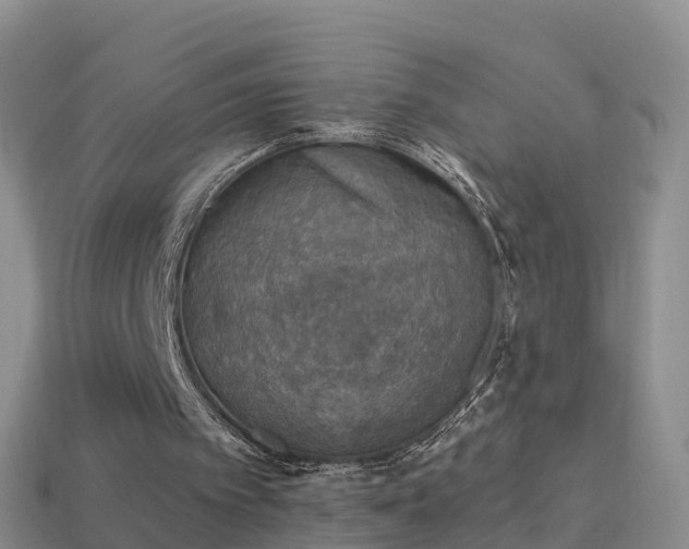 X0000114020097200910091422