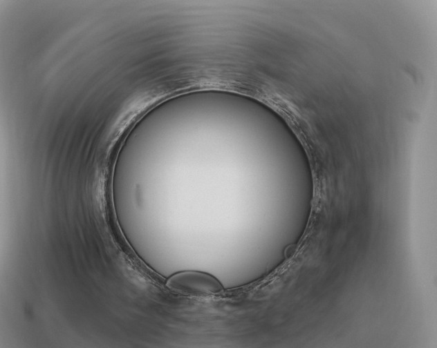 X0000114020098200910091422