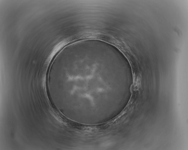 X0000114020099200910091422