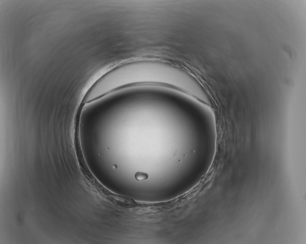 X0000114020100200910091422