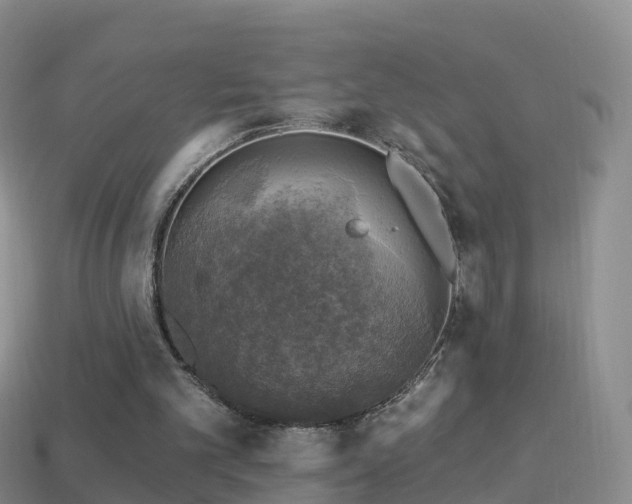 X0000114020101200910091422