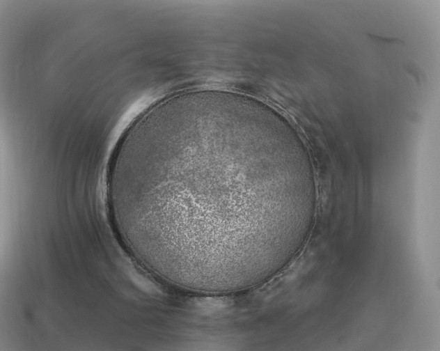 X0000114020102200910091422