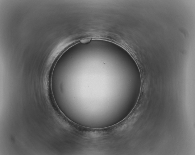 X0000114020103200910091422