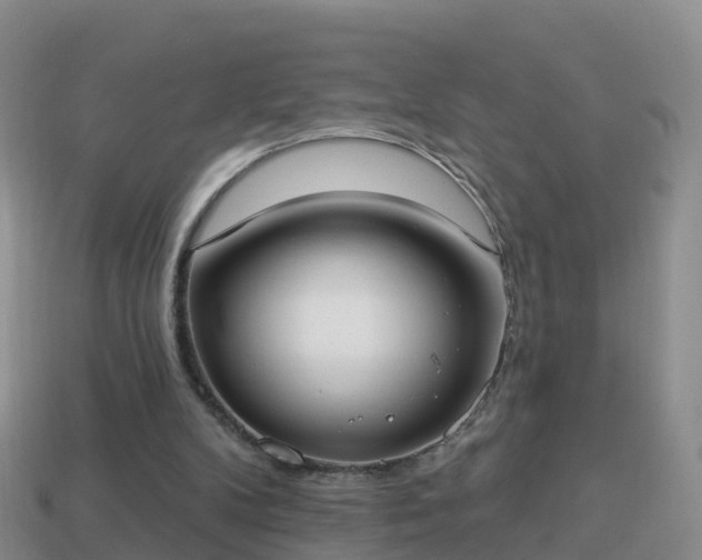 X0000114020104200910091422