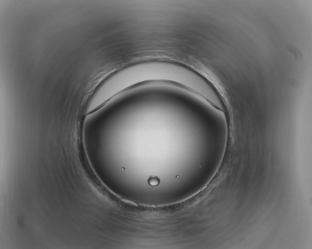 X0000114020105200910091422