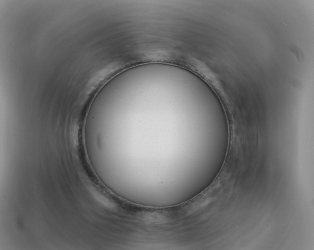 X0000114020106200910091422