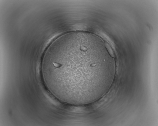 X0000114020107200910091422