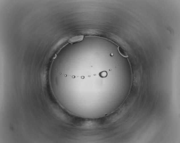 X0000114020111200910091422