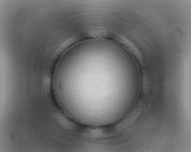 X0000114020113200910091422