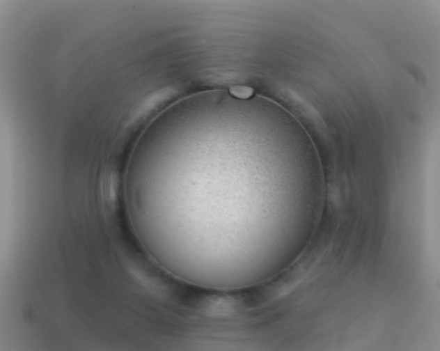 X0000114020115200910091422