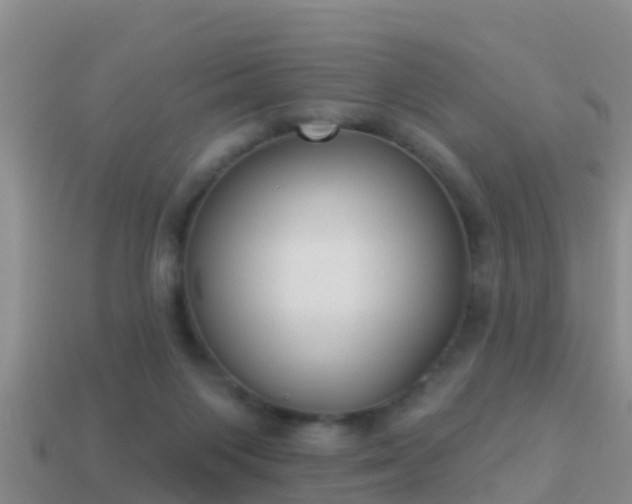 X0000114020119200910091422