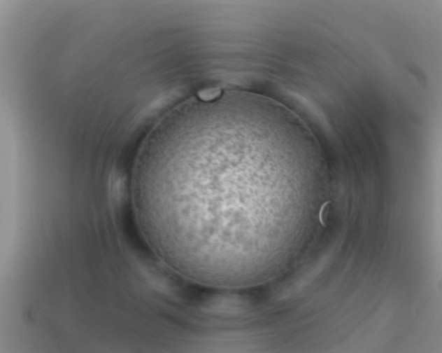 X0000114020123200910091422