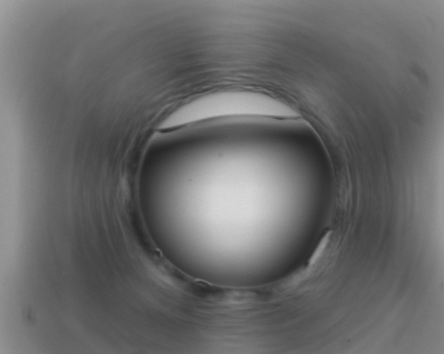 X0000114020128200910091422