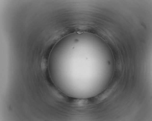 X0000114020135200910091421