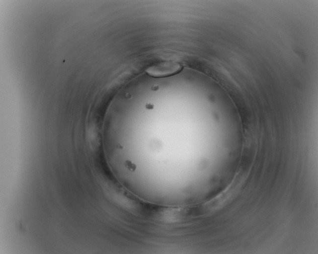 X0000114020136200910091421