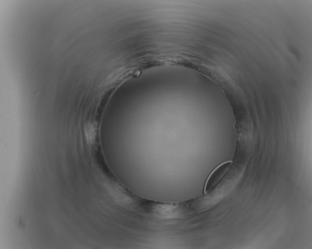 X0000114020139200910091421