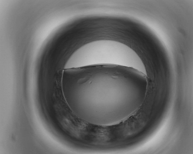 X0000114020143200910091421