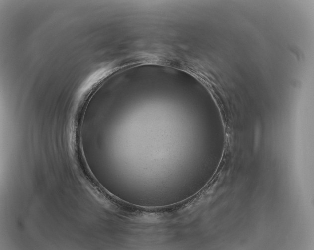 X0000114020149200910091421