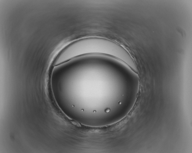 X0000114020152200910091421